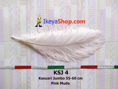 KSJ 4  large2